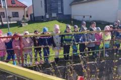 8a328541-b051-473f-abb3-2f6d45e01b48