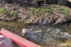 ab4bbeef-234a-43a0-a8e1-5a7ec0a6e2ab