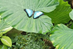 962814d0-3ca9-41cf-a627-4439eccf7b0f