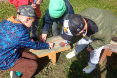 3a83b20f-8bfc-49d3-a3ce-11aec1013335