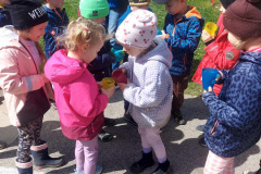 d9252b61-7c2c-4a03-a33e-171d3d0b32e8