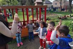 36074c24-8050-46ec-8c54-343bb3ab96d2