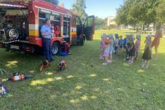 929d640d-d13d-4d66-913c-46a7f01fb67a