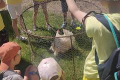 0359cce9-a5fa-4e4b-a3ab-9f35b6798c36