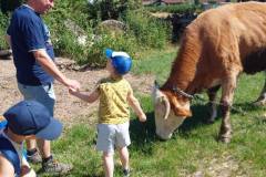 0e53a11e-5de6-406d-9374-90f915da7afe