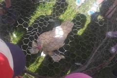 16db1a35-14fa-4ce8-a017-809a50a22e74