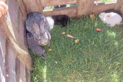 3c208a91-15c9-4629-92cb-639316feedb7