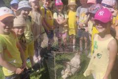 438bd4a4-ffdb-4424-a06b-bd1574d37f14