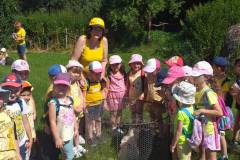 64c3c745-b410-4f2b-9df3-237bde4e2723