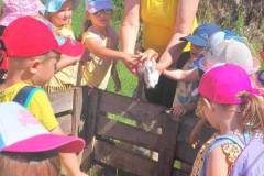 9cc59093-be95-44c7-b454-38b349b827b6