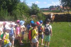 a81fd9d0-d32d-4d49-9f3a-f4641f519dbb