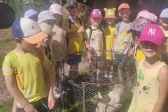 b6050a18-8141-4d53-b326-ae8e1f037f5c