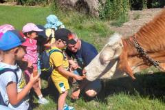 c351cab2-3b66-4548-8afd-381fb9598b8e