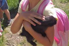 d943fb9a-479a-4c01-a7d3-9a72d4d11ab4