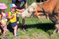 e1a7019c-db9b-4a9e-b5b7-95176f16beaa