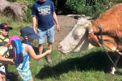 fbd58815-161d-4aac-82e6-bba3015d613b