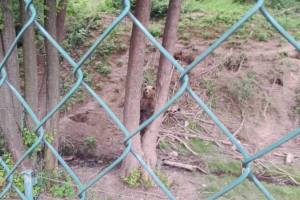 Návšteva zoologickej záhrady