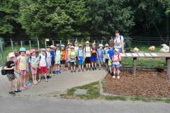 44a2b8af-35ab-4570-bd88-62ffc55b39e6