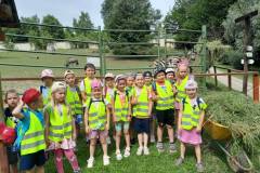 8794922d-216d-4d82-9d4f-d996ffbb7e4e