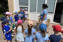 84179ae9-d1b7-40f7-bf07-d8be8bd67225