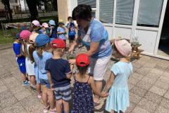 fb14b12f-4a62-44c9-a818-13f162318920