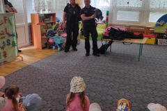 31703398-5ebc-43ff-ae3a-b397235f7c19