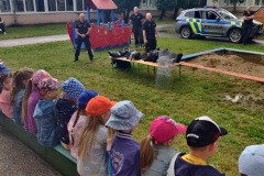 6c7d0371-3960-481a-9ee4-f3a484868b1a