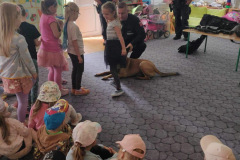 90298d39-5c11-4e35-bc18-807504af3bea