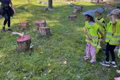 d727e5cf-c9f7-4b4e-93f9-b69d72fb97b3